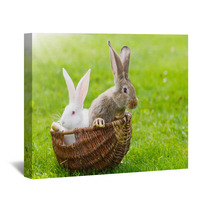 Two Rabbits In Wicker Basket Wall Art 65707687