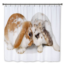 Two Rabbits Isolated On A White Background Bath Decor 61805588