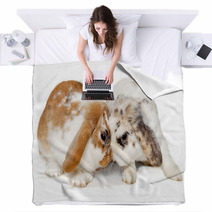 Two Rabbits Isolated On A White Background Blankets 61805588