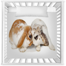 Two Rabbits Isolated On A White Background Nursery Decor 61805588