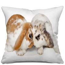 Two Rabbits Isolated On A White Background Pillows 61805588