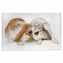 Two Rabbits Isolated On A White Background Rugs 61805588