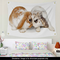 Two Rabbits Isolated On A White Background Wall Art 61805588