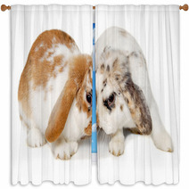 Two Rabbits Isolated On A White Background Window Curtains 61805588