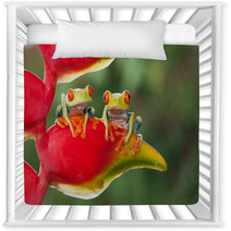 Two Red-eyed Tree Frogs Sitting On A Heliconia Flower Nursery Decor 87591215