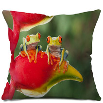 Two Red-eyed Tree Frogs Sitting On A Heliconia Flower Pillows 87591215