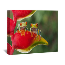 Two Red-eyed Tree Frogs Sitting On A Heliconia Flower Wall Art 87591215
