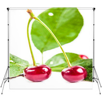 Two Ripe Cherries With Leaves Backdrops 66685188