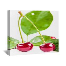 Two Ripe Cherries With Leaves Wall Art 66685188