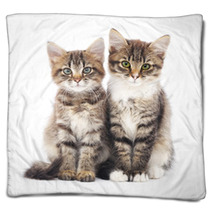 Two Small Kittens Blankets 59644358