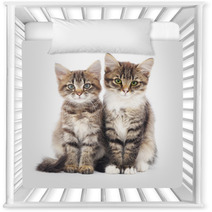 Two Small Kittens Nursery Decor 59644358