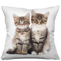 Two Small Kittens Pillows 59644358