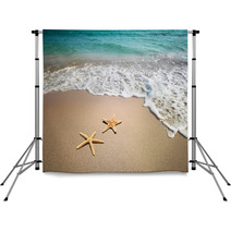 Two Starfish On A Beach Backdrops 19804151