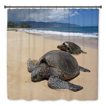 Two Turtles In The Sand In A Beach In Hawaii Bath Decor 53711119