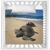 Two Turtles In The Sand In A Beach In Hawaii Nursery Decor 53711119