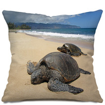 Two Turtles In The Sand In A Beach In Hawaii Pillows 53711119