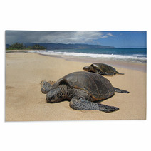 Two Turtles In The Sand In A Beach In Hawaii Rugs 53711119