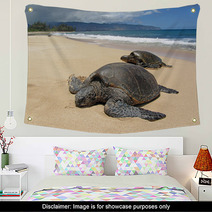 Two Turtles In The Sand In A Beach In Hawaii Wall Art 53711119