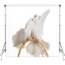 Two White Doves Kissing And Huggung Backdrops 36693939