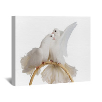 Two White Doves Kissing And Huggung Wall Art 36693939