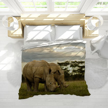 Two White Rhinos Grazing Bedding 48025611