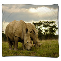 Two White Rhinos Grazing Blankets 48025611