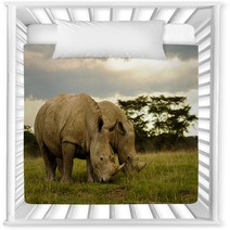 Two White Rhinos Grazing Nursery Decor 48025611