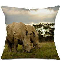 Two White Rhinos Grazing Pillows 48025611
