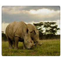 Two White Rhinos Grazing Rugs 48025611