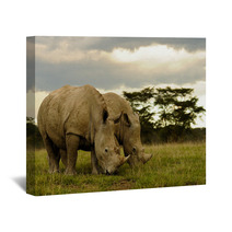 Two White Rhinos Grazing Wall Art 48025611