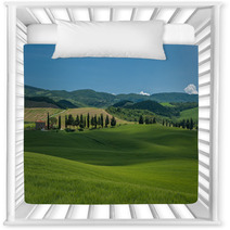 Typical Tuscan Landscape Nursery Decor 67554614