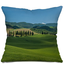 Typical Tuscan Landscape Pillows 67554614