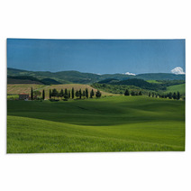 Typical Tuscan Landscape Rugs 67554614