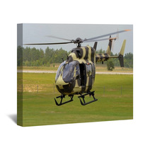 UH-72A Lakota Light Utility Helicopter Wall Art 64971810