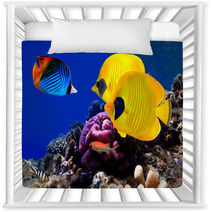 Underwater Image Of Coral Reef Nursery Decor 29299351