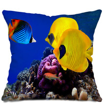 Underwater Image Of Coral Reef Pillows 29299351