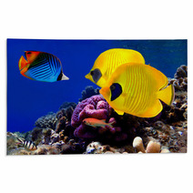 Underwater Image Of Coral Reef Rugs 29299351