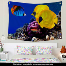 Underwater Image Of Coral Reef Wall Art 29299351