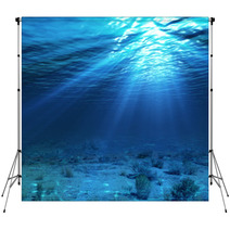 Underwater Landscape And Backdrop With Algae Backdrops 61980289