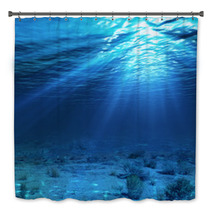 Underwater Landscape And Backdrop With Algae Bath Decor 61980289