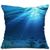 Underwater Landscape And Backdrop With Algae Pillows 61980289