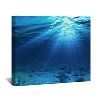Underwater Landscape And Backdrop With Algae Wall Art 61980289