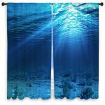 Underwater Landscape And Backdrop With Algae Window Curtains 61980289