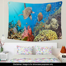 Underwater Panorama Wall Art 28289655