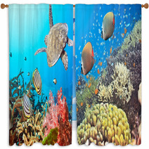 Underwater Panorama Window Curtains 28289655