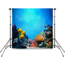 Underwater Scene. Coral Reef, Fish Groups In Clear Ocean Water Backdrops 52173106
