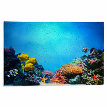 Underwater Scene. Coral Reef, Fish Groups In Clear Ocean Water Rugs 52173106