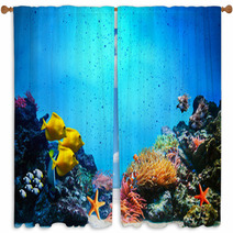Underwater Scene. Coral Reef, Fish Groups In Clear Ocean Water Window Curtains 52173106