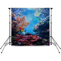 Underwater Scene With Fish, Coral Reef Backdrops 55172863