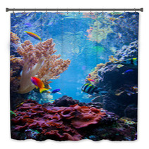 Underwater Scene With Fish, Coral Reef Bath Decor 55172863